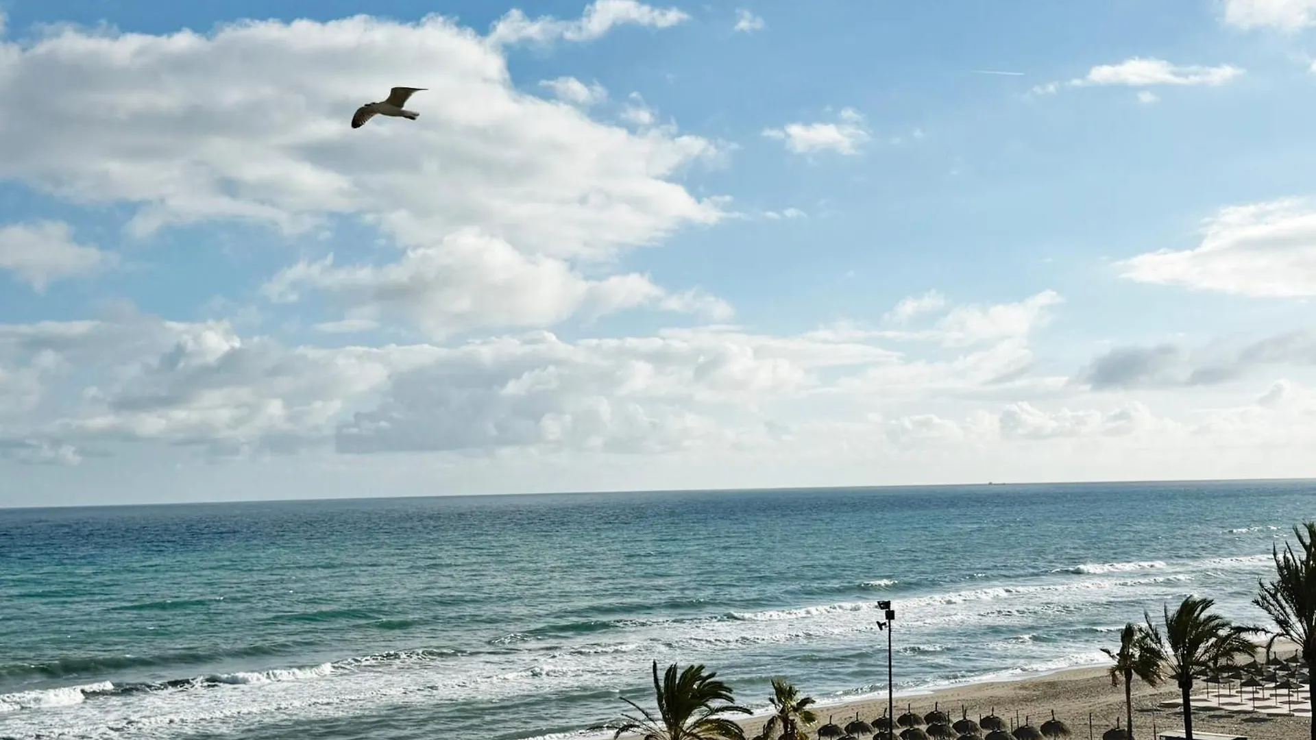 Apartamento En Primera Linea Con Vistas Al Mar Fuengirola 0*,